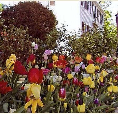 Tuck Inn B&B Rockport Exterior foto