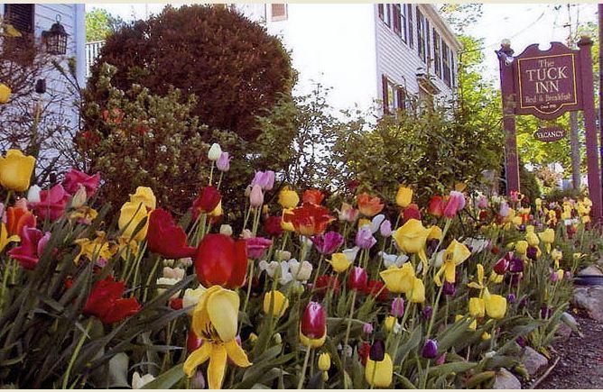 Tuck Inn B&B Rockport Exterior foto